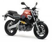 2007 Yamaha MT-03 photo